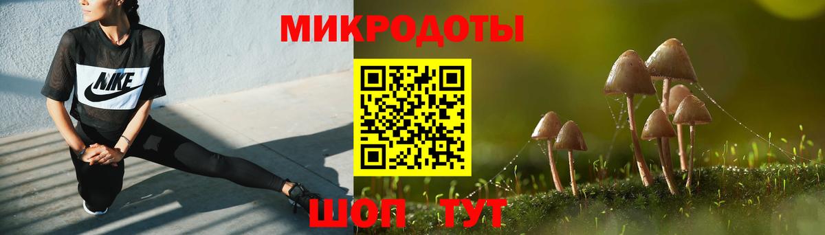 Псилоцибиновые грибы Cubensis Мариинск